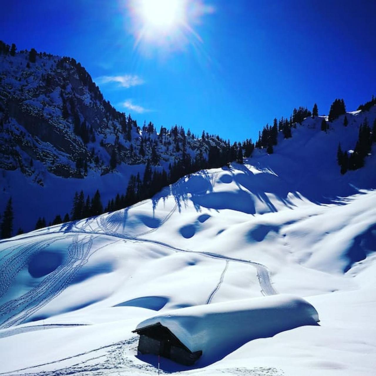 Swisshut Stunning Views Alps - Apart. Mungge Apartmán *