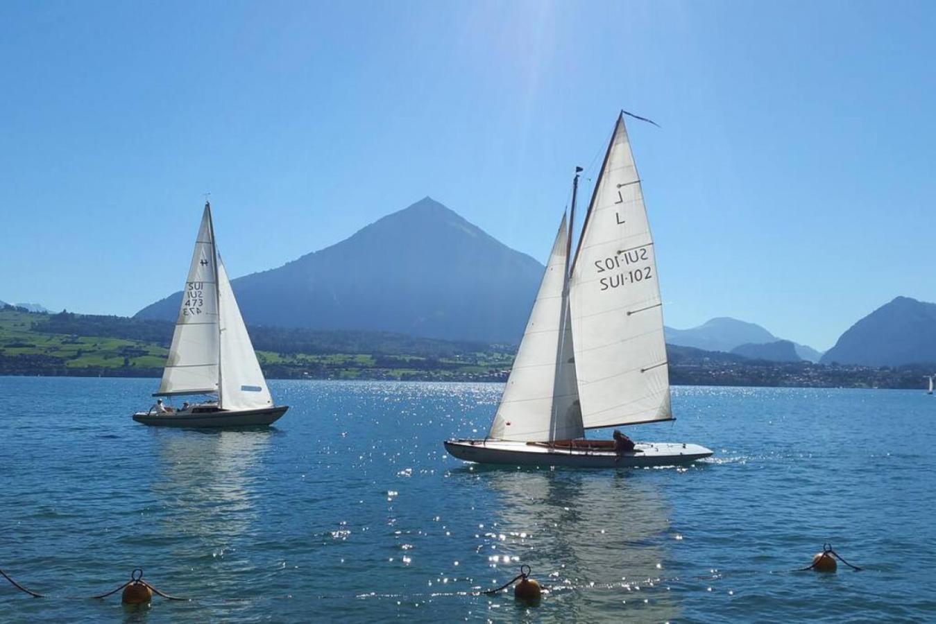 Swisshut Stunning Views Alps - Apart. Mungge Apartmán Beatenberg